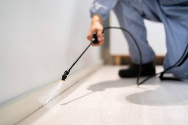 Licensed Pest Control service in Sharpes, FL - Show Me Pest Control