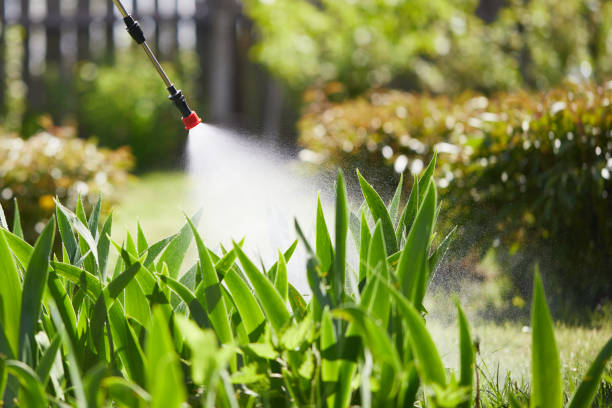 Tamper-Resistant Bait Stations for Rodents in Sharpes