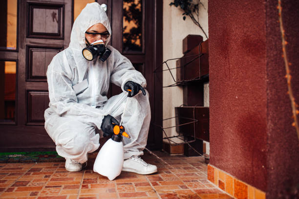Attic and Crawl Space Rodent Treatment in Sharpes