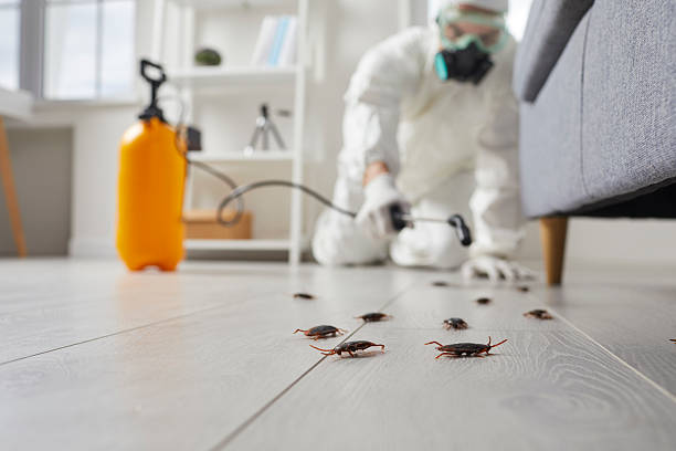 Commercial Rodent Management in Sharpes